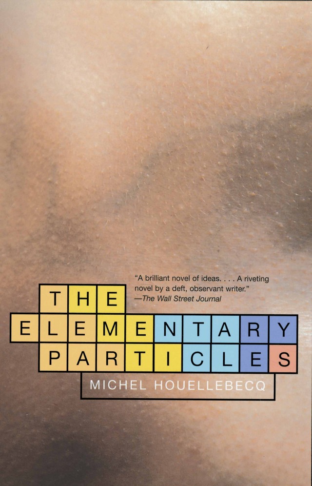 The Elementary Particles